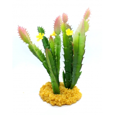 Roślina do terrarium WILCZOMLECZ kaktus 18cm